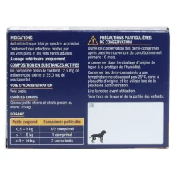 Milbémycine Praziquantel Viatris vermifuge chien