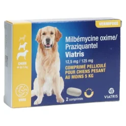 Milbémycine Praziquantel Viatris vermifuge chien