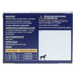 Milbémycine Praziquantel Viatris vermifuge chien