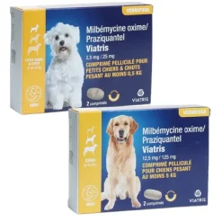 Milbémycine Praziquantel Viatris vermifuge chien
