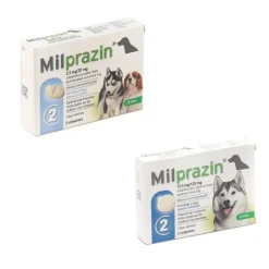 Milprazin Chien comprimé vermifuge