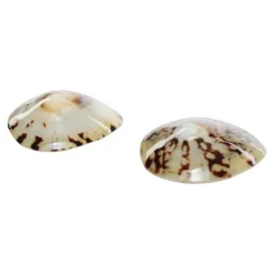 Mom's Shell Coquillage d'allaitement