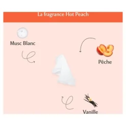 Musc Intime Lingettes intimes