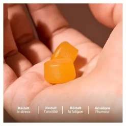 Naali Anti Stress gummies sans sucre