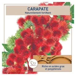 Natessance huile de carapate ricin noire