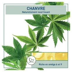 Natessance Huile de chanvre