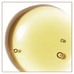 Natessance huile de noisette Bio