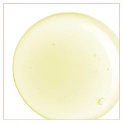 Natessance Huile de Pâquerette Bio