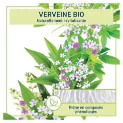 Natessance shampooing douche bio verveine