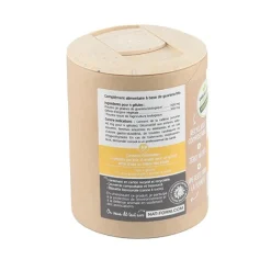 Nat et Form Ecoresponsable guarana bio gélules