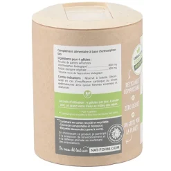 Nat et Form Ecoresponsable orthosiphon Bio gélules