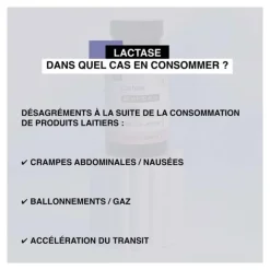 Nat et Form Lactase gélules