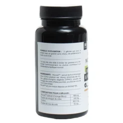 Nat et Form Minceur Morosil 400 gélules