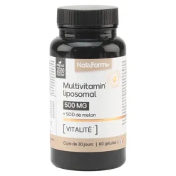 Nat et Form Multivitamin liposomal 500 mg gélules