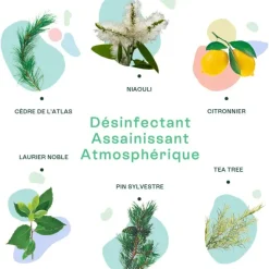 Naturactive Assaini'Spray assainissant Bio