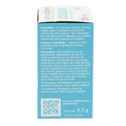 Naturactive Curcuma et Gingembre Bio gélules