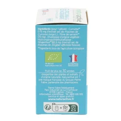Naturactive Curcuma et Gingembre Bio gélules