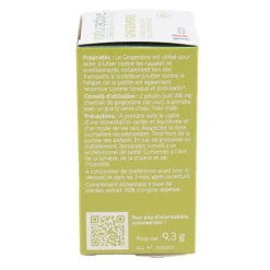 Naturactive gingembre bio gélules