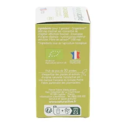 Naturactive gingembre bio gélules
