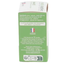 Naturactive Maté gélules