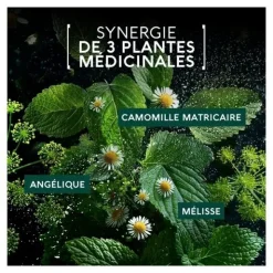 Naturactive Maux de ventre Flash gélules