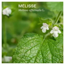 Naturactive Seriane Sommeil gélules
