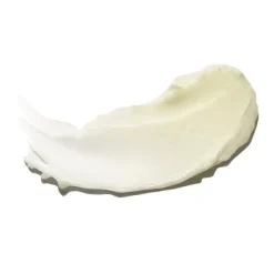 NeoStrata Restore 12 PHA crème Bionic
