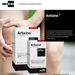 NHCO Artixine gélule