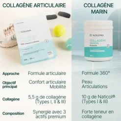 Novoma Collagène articulaire poudre