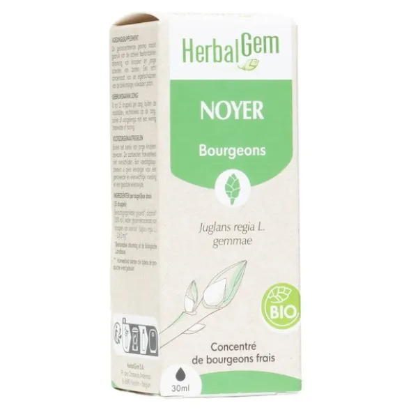 Noyer Macérat de bourgeons bio