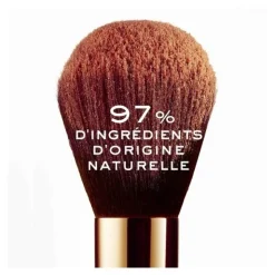 Nuxe Prodigieux La poudre bronzante multi-usages