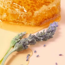 Nuxe Rêve de miel Soin lèvres au miel