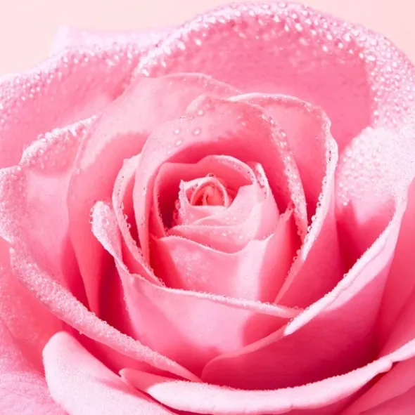 Nuxe Very Rose Crème mains et ongles apaisante
