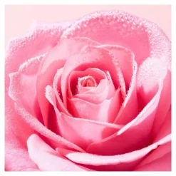 Nuxe Very Rose Eau micellaire démaquillante apaisante
