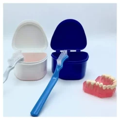 Papilli brosse pour prothèse