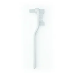Papilli brosse pour prothèse