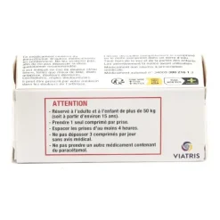 Paracétamol 1 g Viatris comprimé effervescent