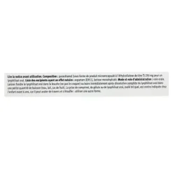 Paralyoc 250 mg comprimé orodispersible