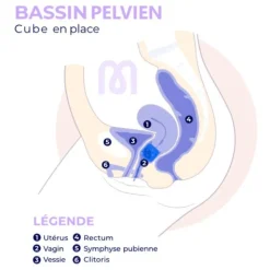 Pessaire Cube perforé Dr Arabin