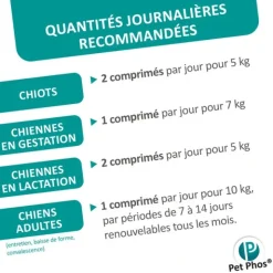 Pet Phos Croissance chien Ca/P=1,3 en comprimés