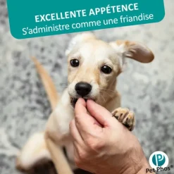 Pet Phos Croissance chien Ca/P=1,3 en comprimés
