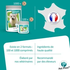 Pet Phos Croissance chien Ca/P=1,3 en comprimés