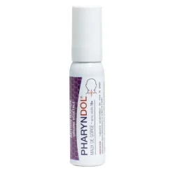 Pharyndol Spray buccal adulte