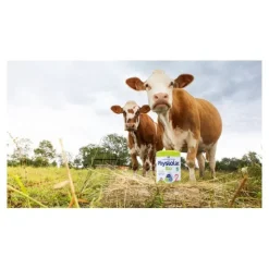Physiolac Bio lait 2e âge