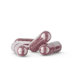 Physionorm Cranberry gélules