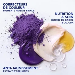 Phyto Color Gloss Masque raviveur de couleur et soin