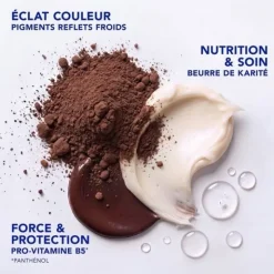 Phyto Color Gloss Masque raviveur de couleur et soin