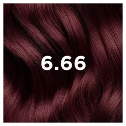 Phytocolor Kit Coloration Permanente Châtain Clair Cerise intense 6.66