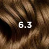 PhytoColor Kit Coloration permanente Blond Foncé doré 6.3