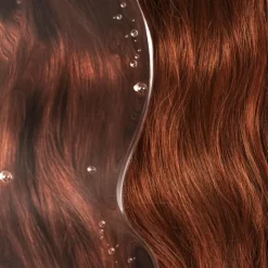 Phyto Couleur shampooing anti dégorgement